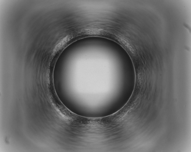 X0000098030682200804071417