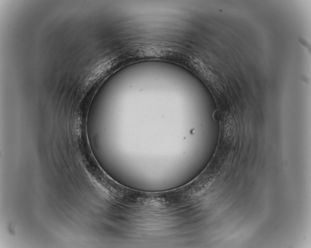 X0000098030683200804071417