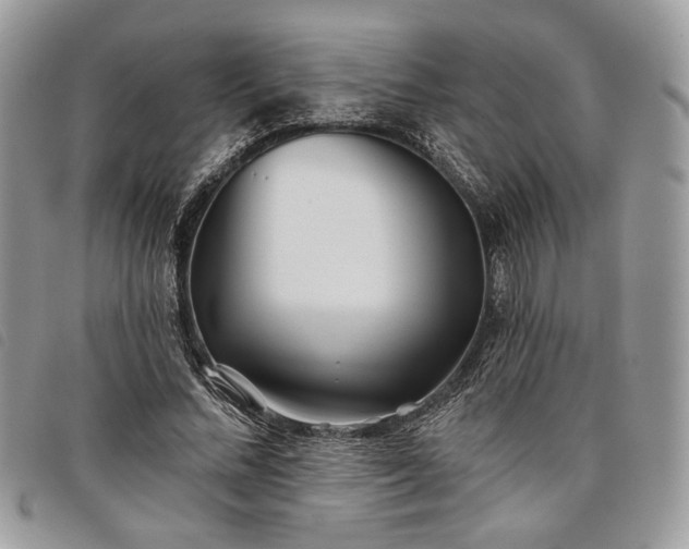 X0000098030684200804071417