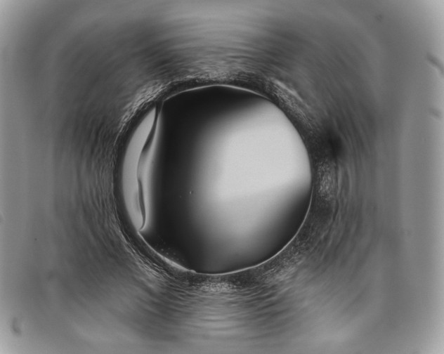 X0000098030685200804071417