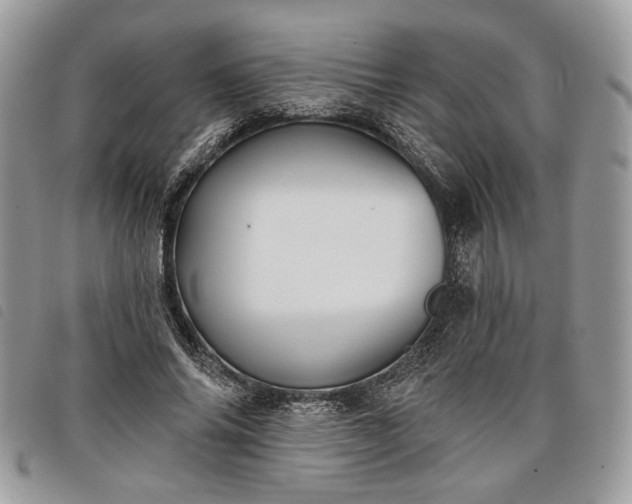 X0000098030686200804071417