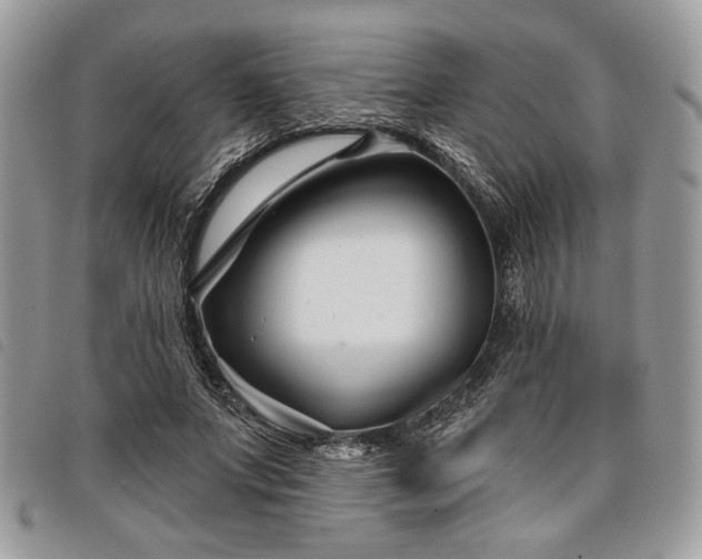 X0000098030687200804071417