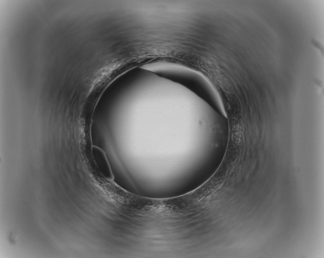 X0000098030688200804071417