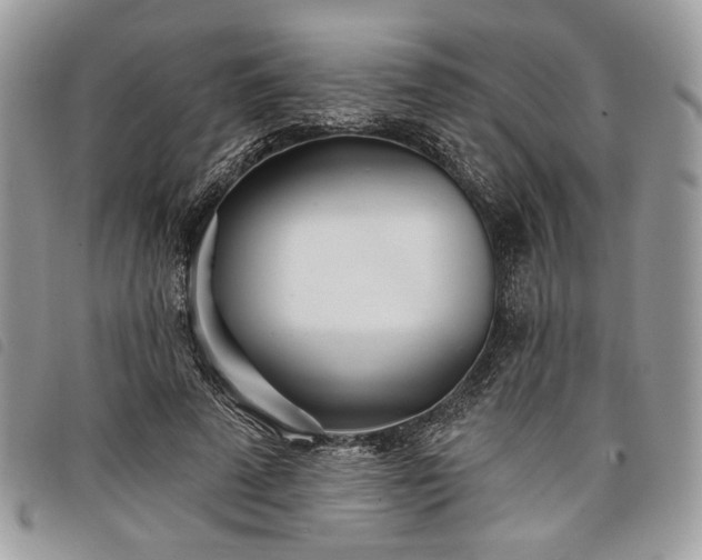 X0000098030689200804071417