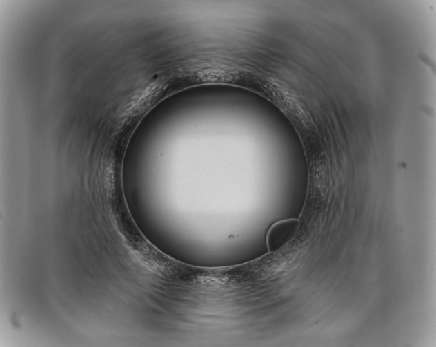 X0000098030690200804071417