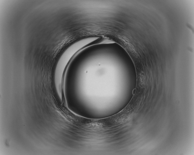 X0000098030691200804071417