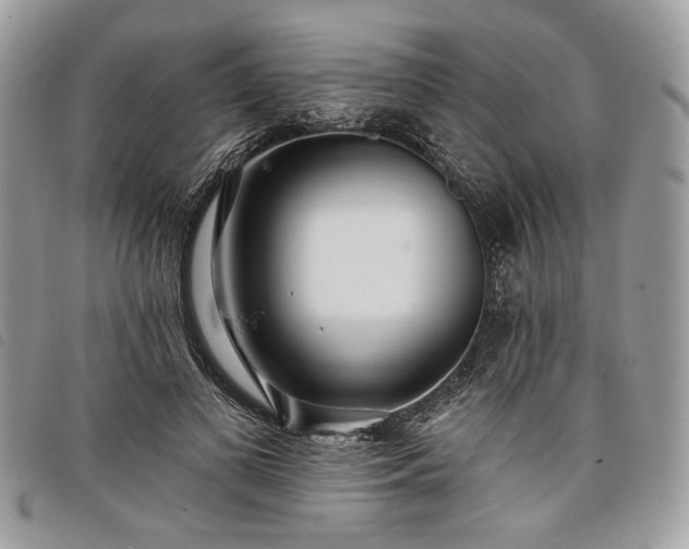 X0000098030693200804071417