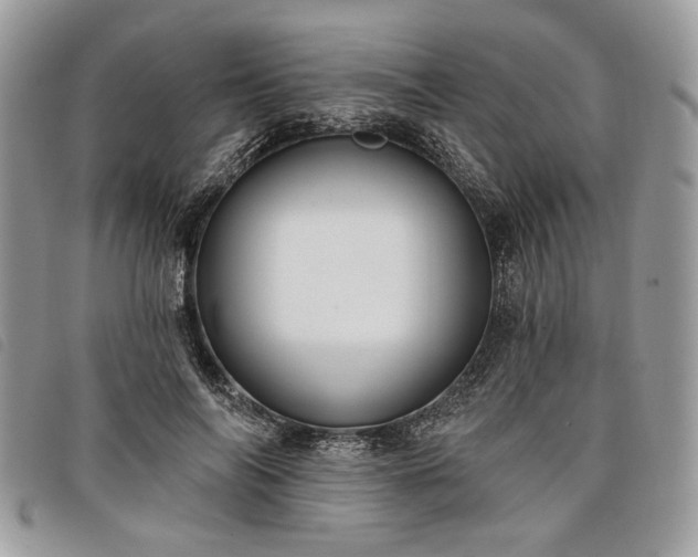 X0000098030694200804071417