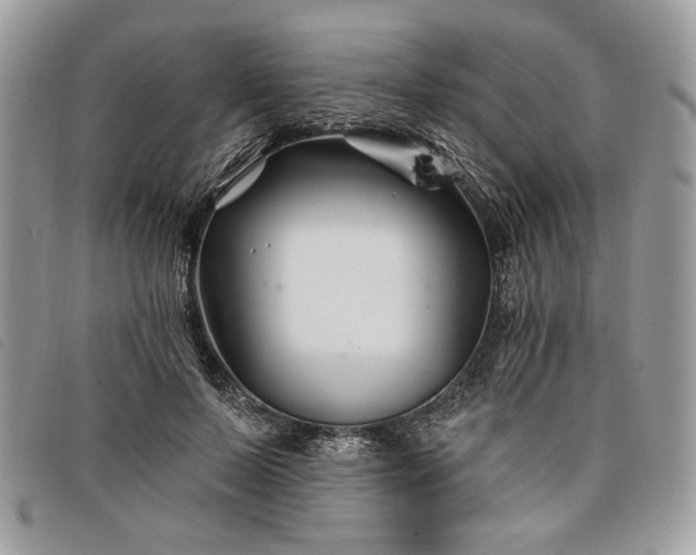 X0000098030695200804071417