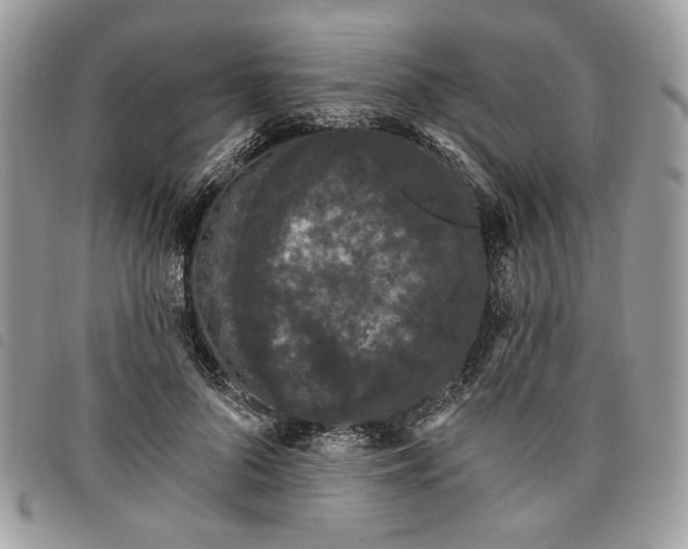 X0000098030696200804071417