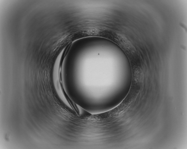 X0000098030697200804071417