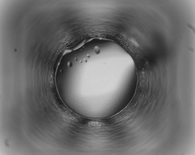 X0000098030699200804071417