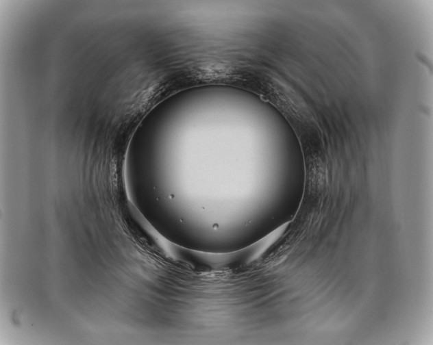 X0000098030700200804071417