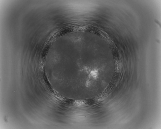 X0000098030701200804071417