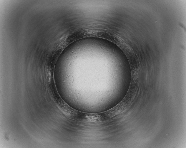 X0000098030703200804071416