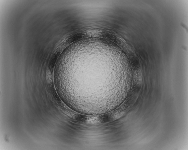 X0000098030705200804071416