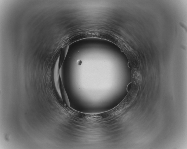 X0000098030707200804071416