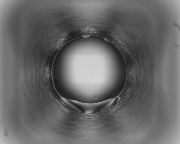 X0000098030708200804071416