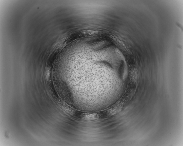 X0000098030709200804071416