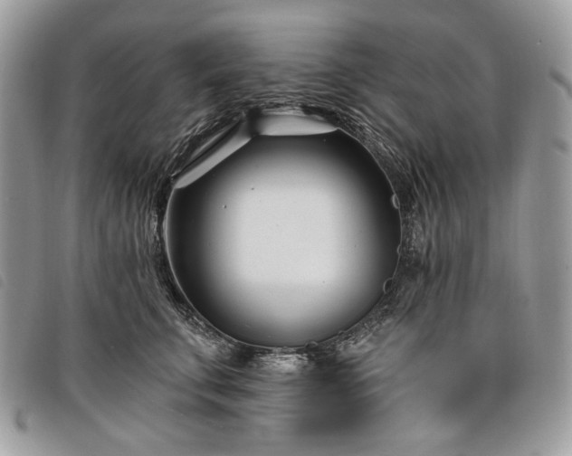 X0000098030711200804071416