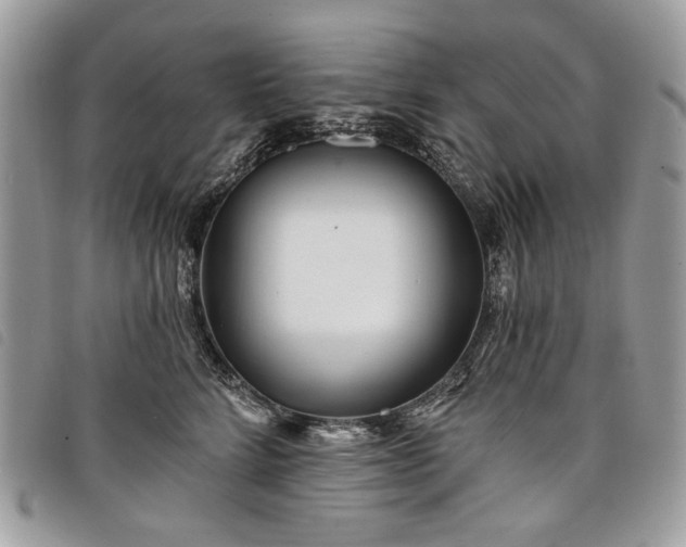 X0000098030712200804071416