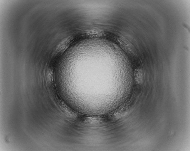 X0000098030713200804071416