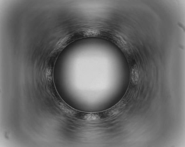 X0000098030714200804071416