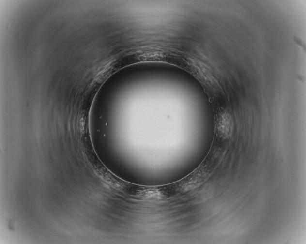 X0000098030715200804071416