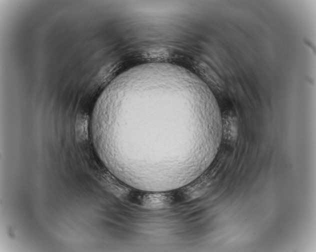 X0000098030717200804071416