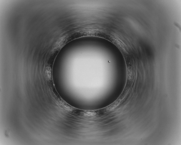 X0000098030718200804071416