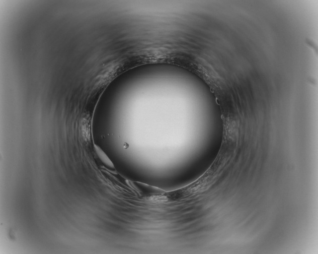 X0000098030719200804071416