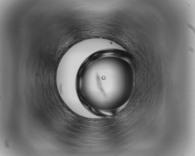 X0000098030720200804071416