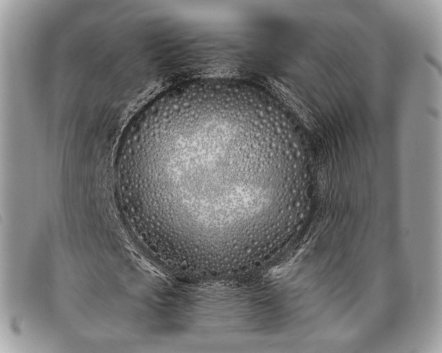 X0000098030721200804071416