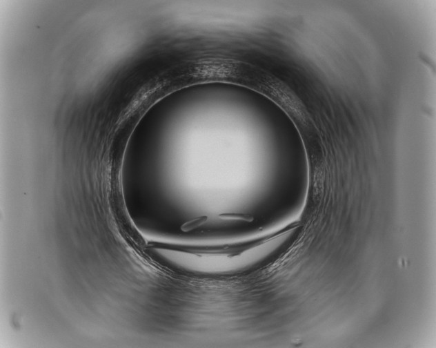 X0000098030722200804071416