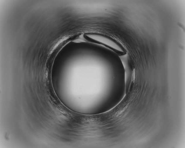 X0000098030723200804071416