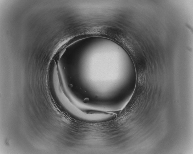 X0000098030724200804071416