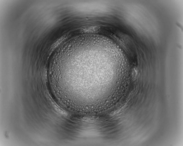 X0000098030725200804071416