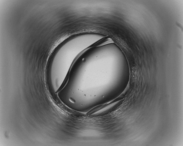 X0000098030726200804071416