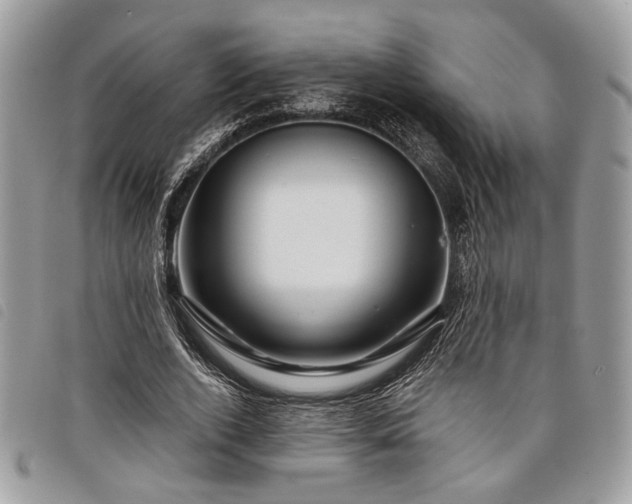 X0000098030728200804071416