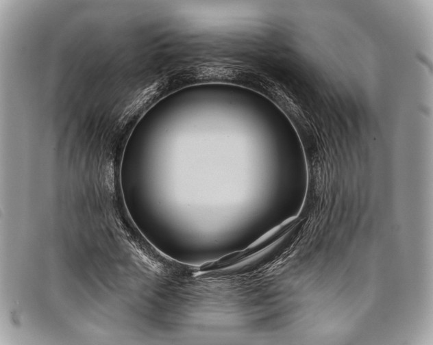 X0000098030729200804071416