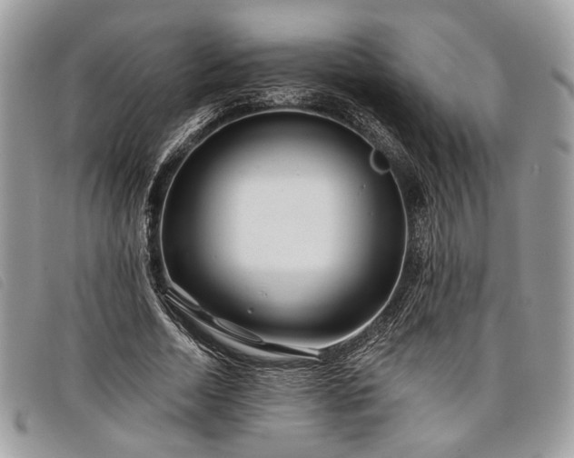 X0000098030730200804071416