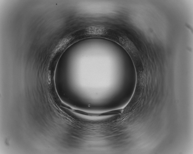 X0000098030731200804071416