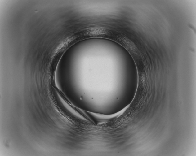 X0000098030732200804071416