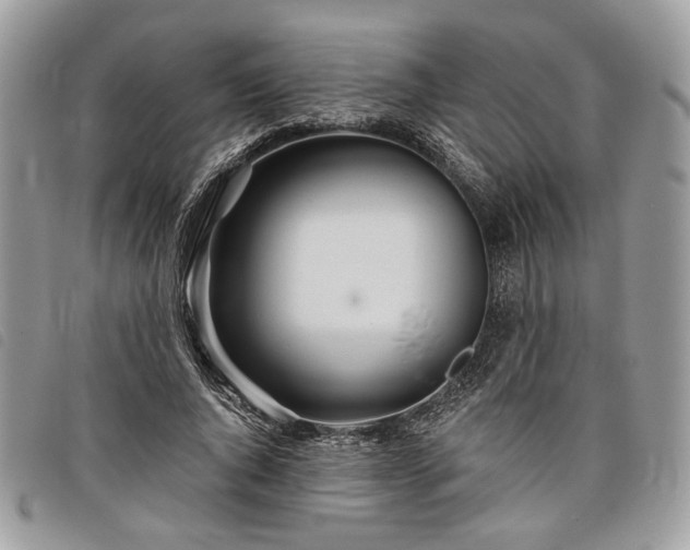 X0000098030736200804071416