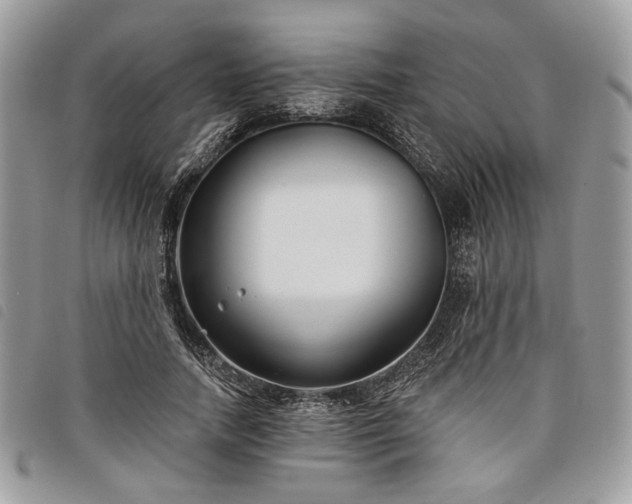 X0000098030738200804071416