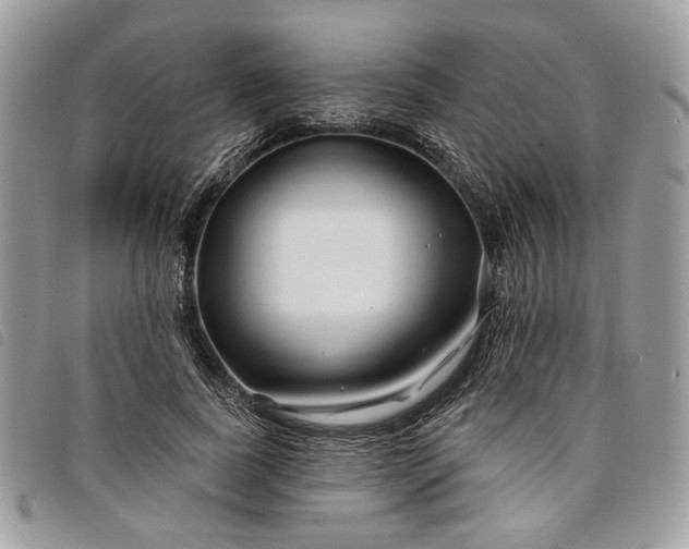 X0000098030739200804071416