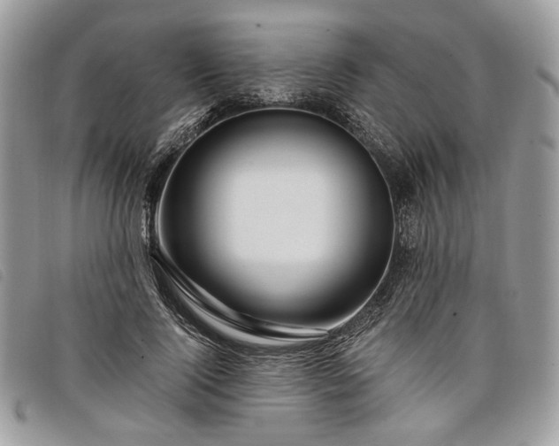 X0000098030740200804071416