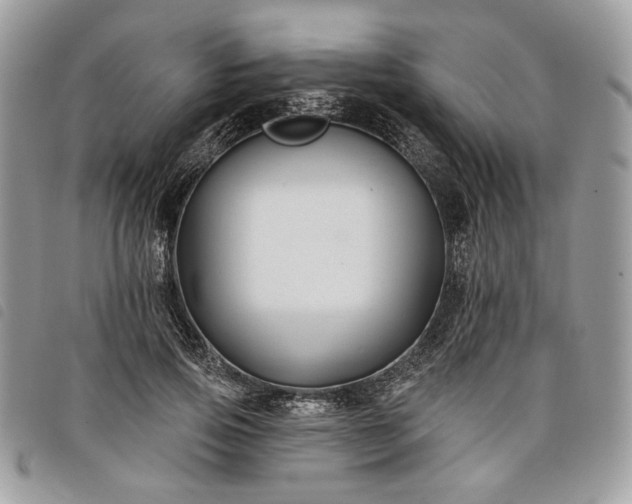 X0000098030741200804071416