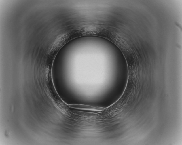 X0000098030742200804071416