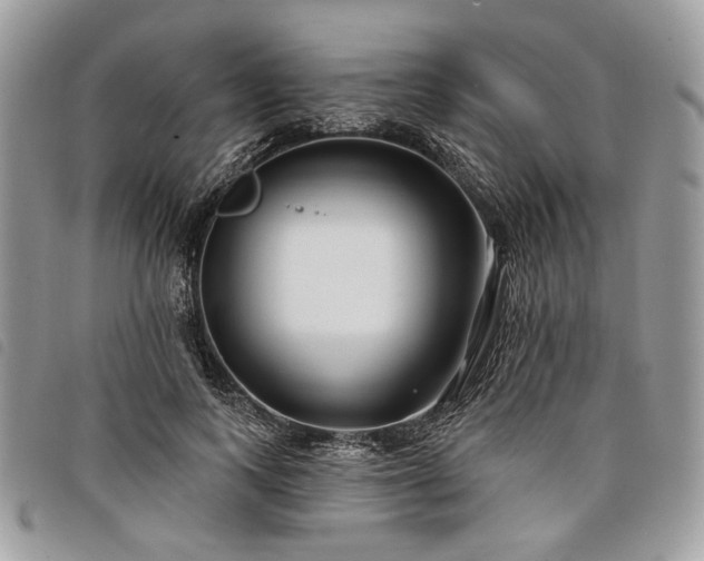 X0000098030743200804071416